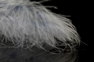 A. Jensen Blood Quill Marabou - grey